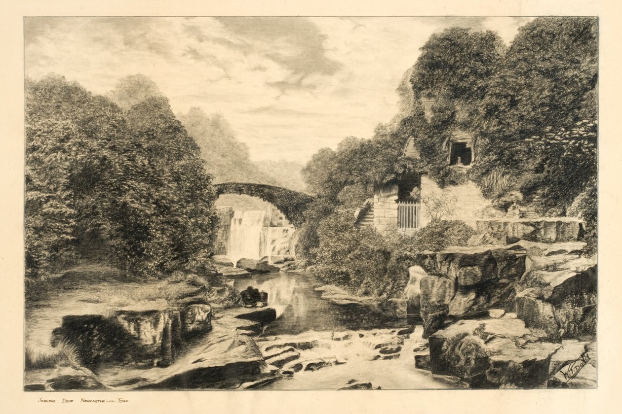 Jesmond Dene by W.T. Dodd