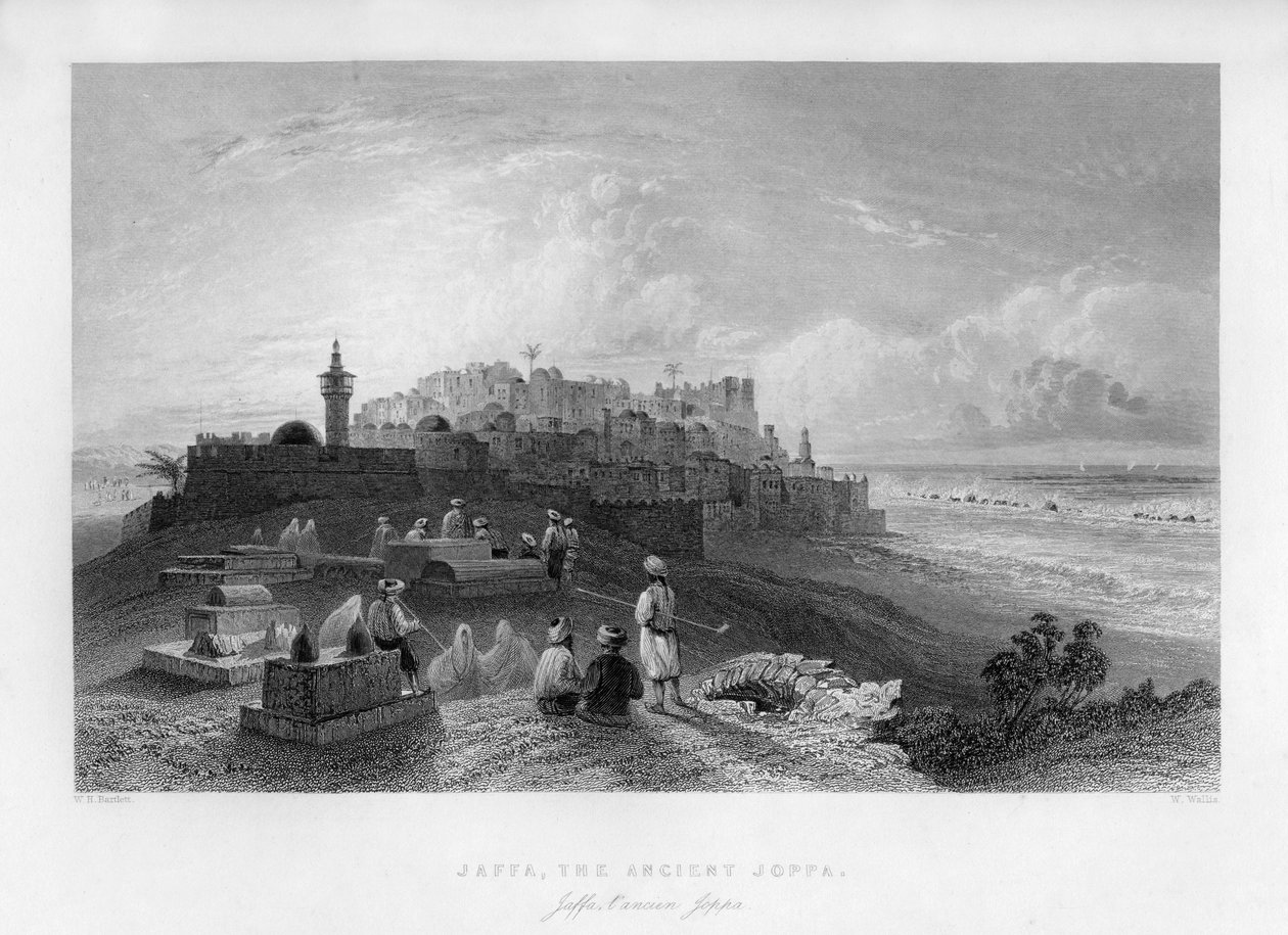 Jaffa, the Ancient Joppa, Palestine Israel, 1841 by W. Wallis