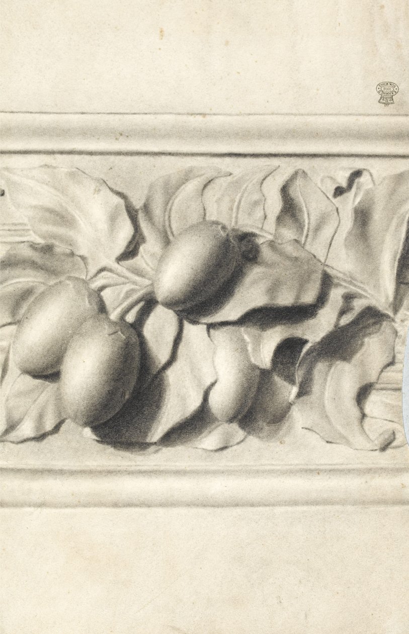 Drawing of fruit from plaster cast in relief by Walter Bonner Gash