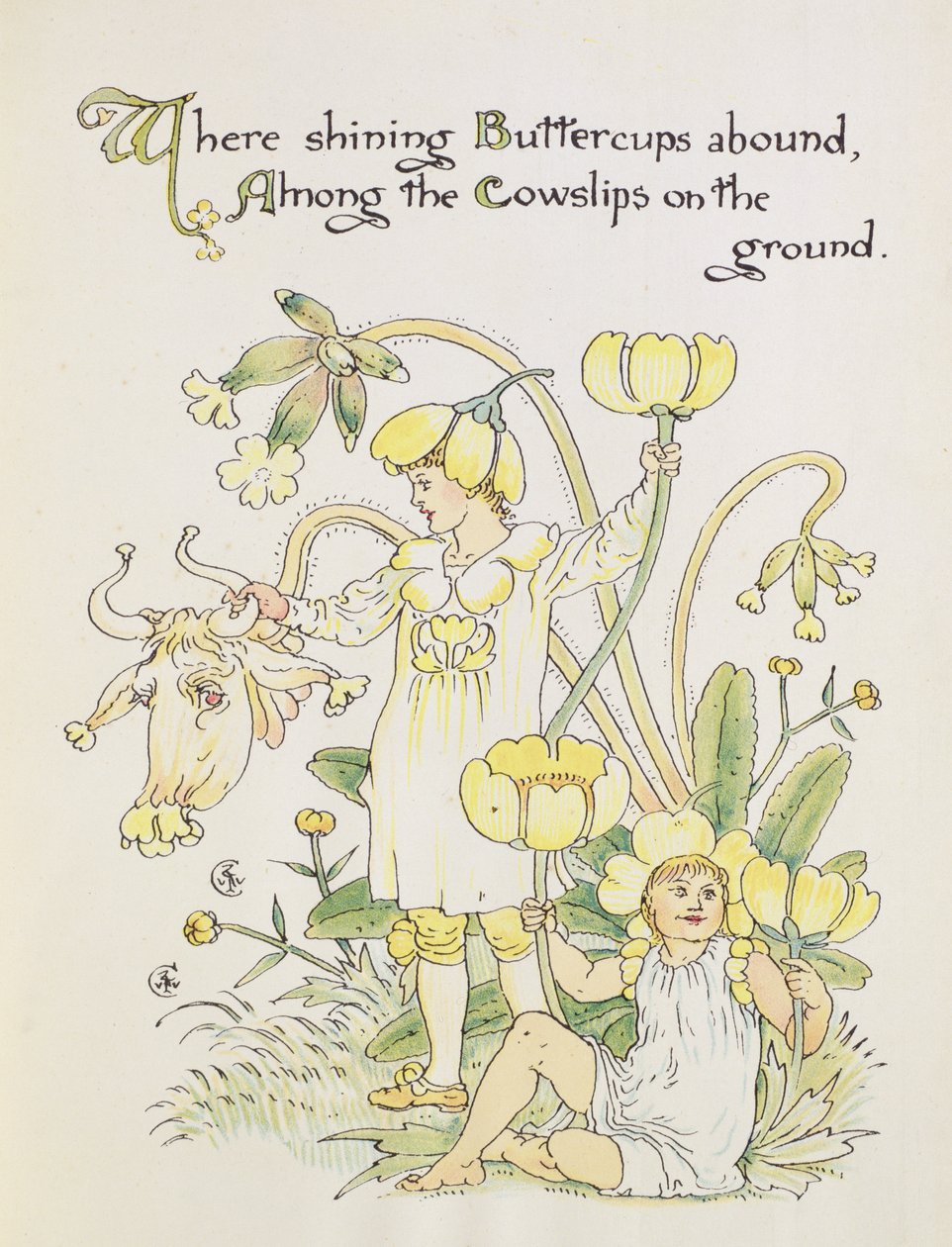 The Buttercup and the Cowslip from 