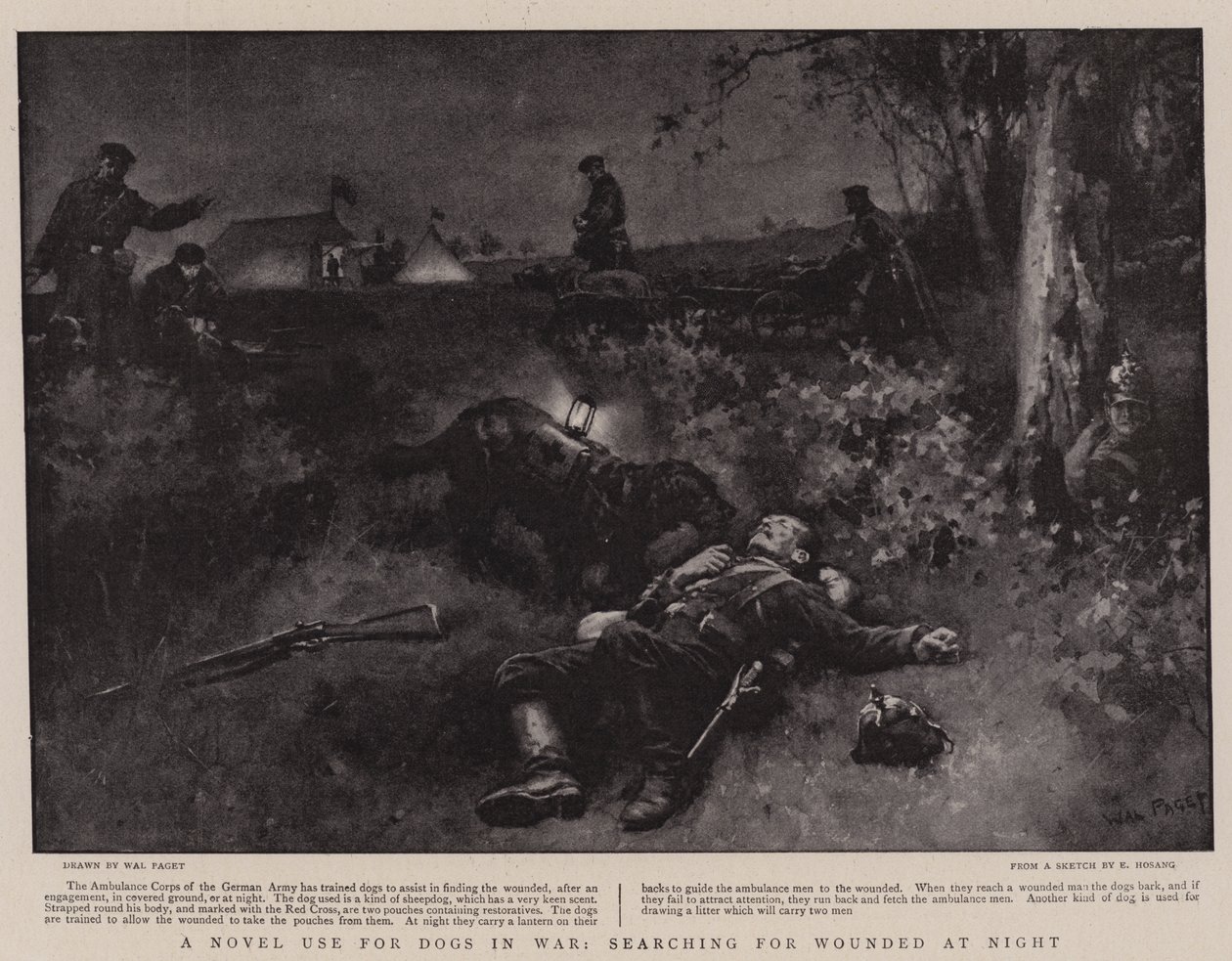 A Novel Use for Dogs in War, Searching for Wounded at Night by Walter Stanley Paget