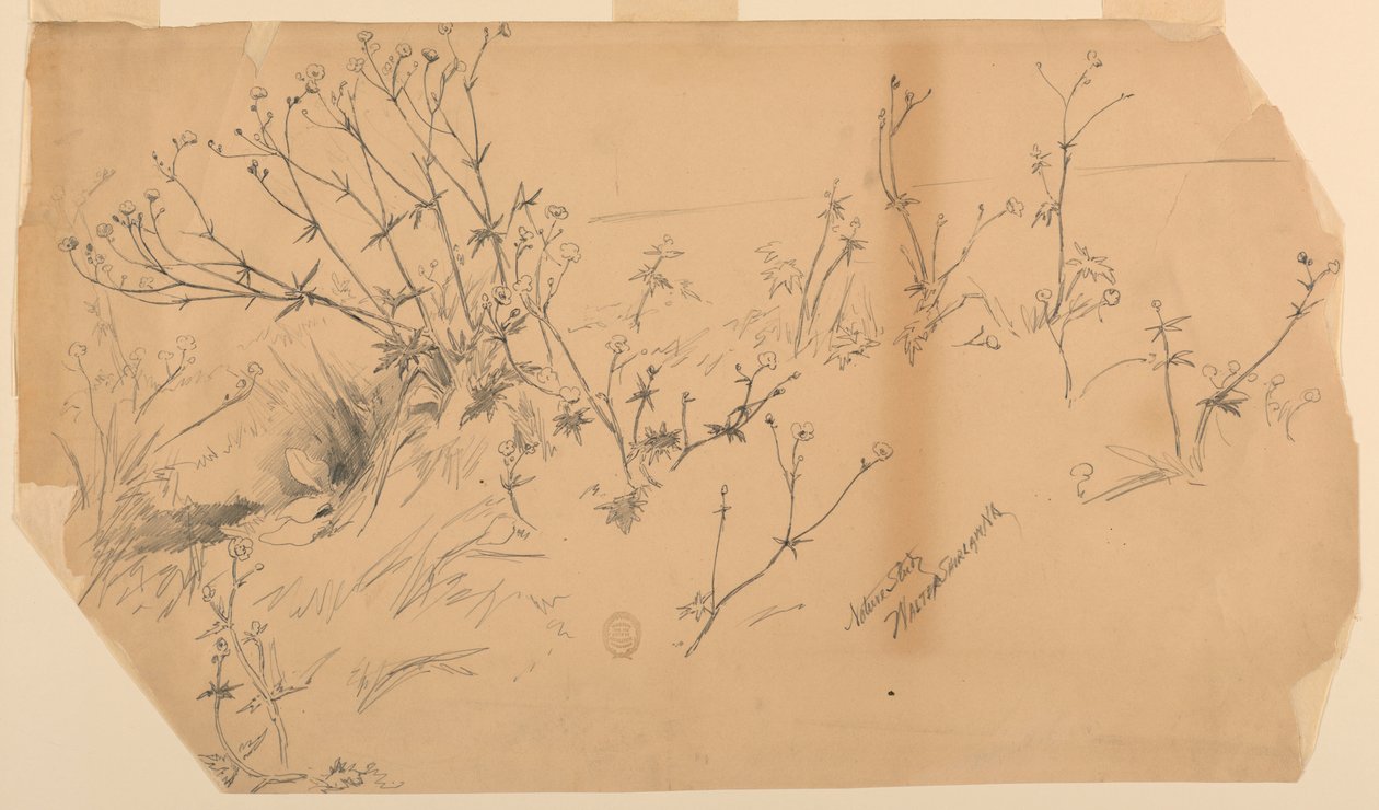 Nature Study by Walter Shirlaw