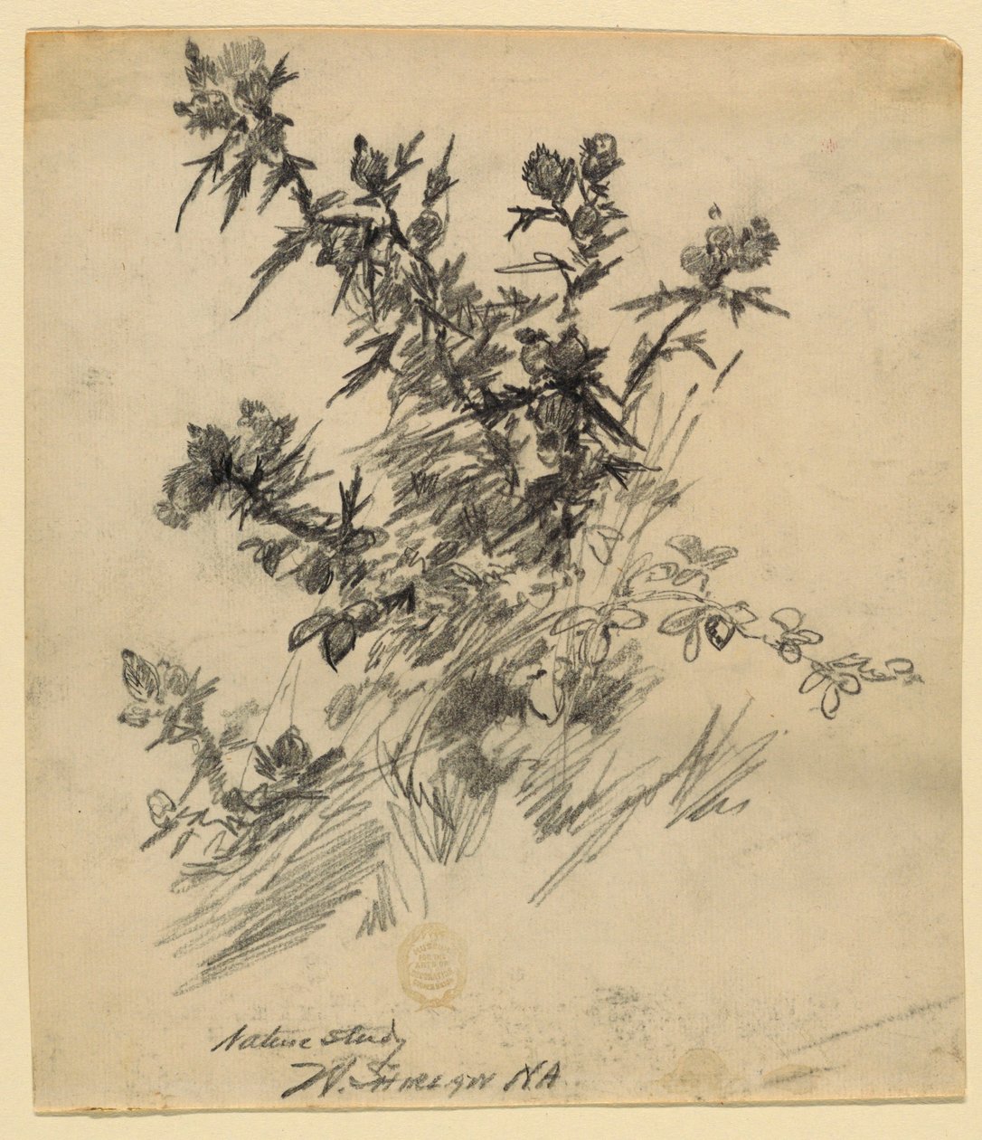 Nature Study by Walter Shirlaw