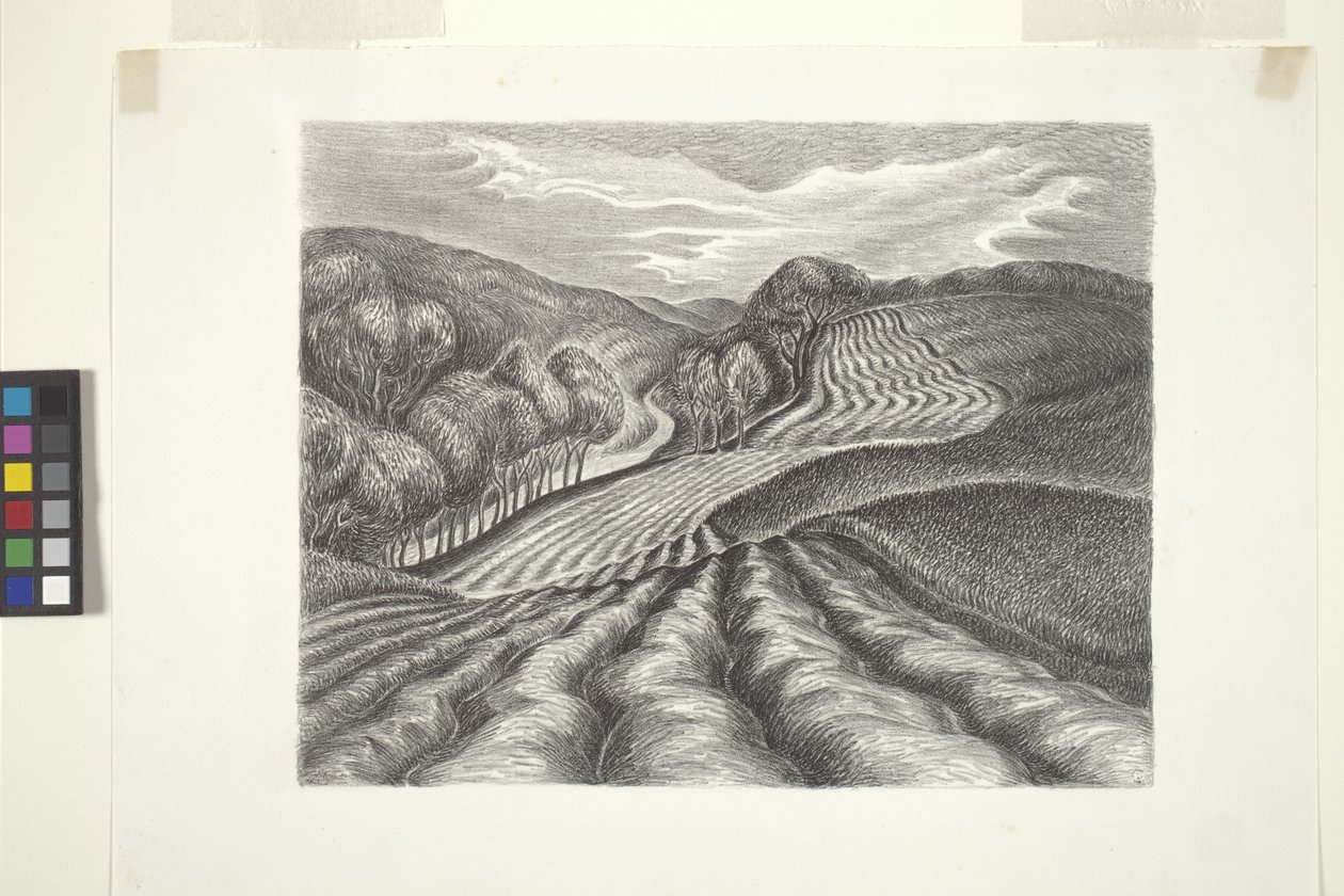 Ploughed Fields by Wanda Gág