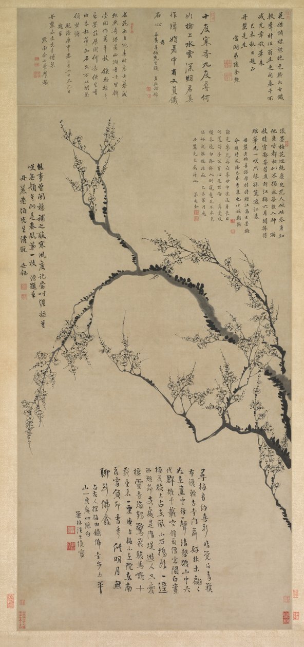 Plum Blossoms, 1747 by Wang Shishen