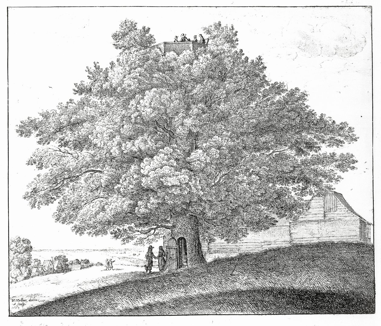 Hollow Tree at Hampstead by Wenceslaus Hollar