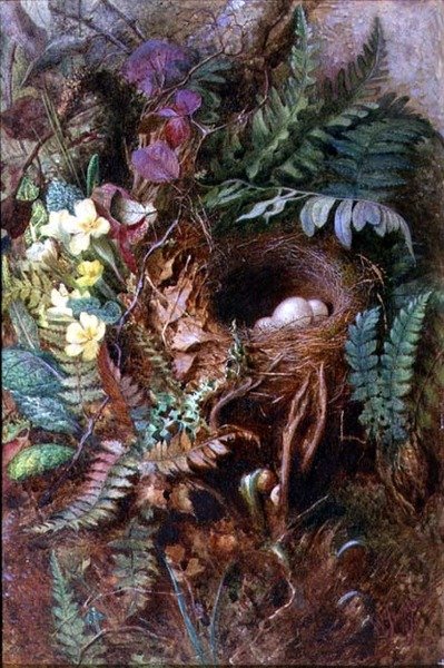 Birds Nest by Wilfred Jenkins