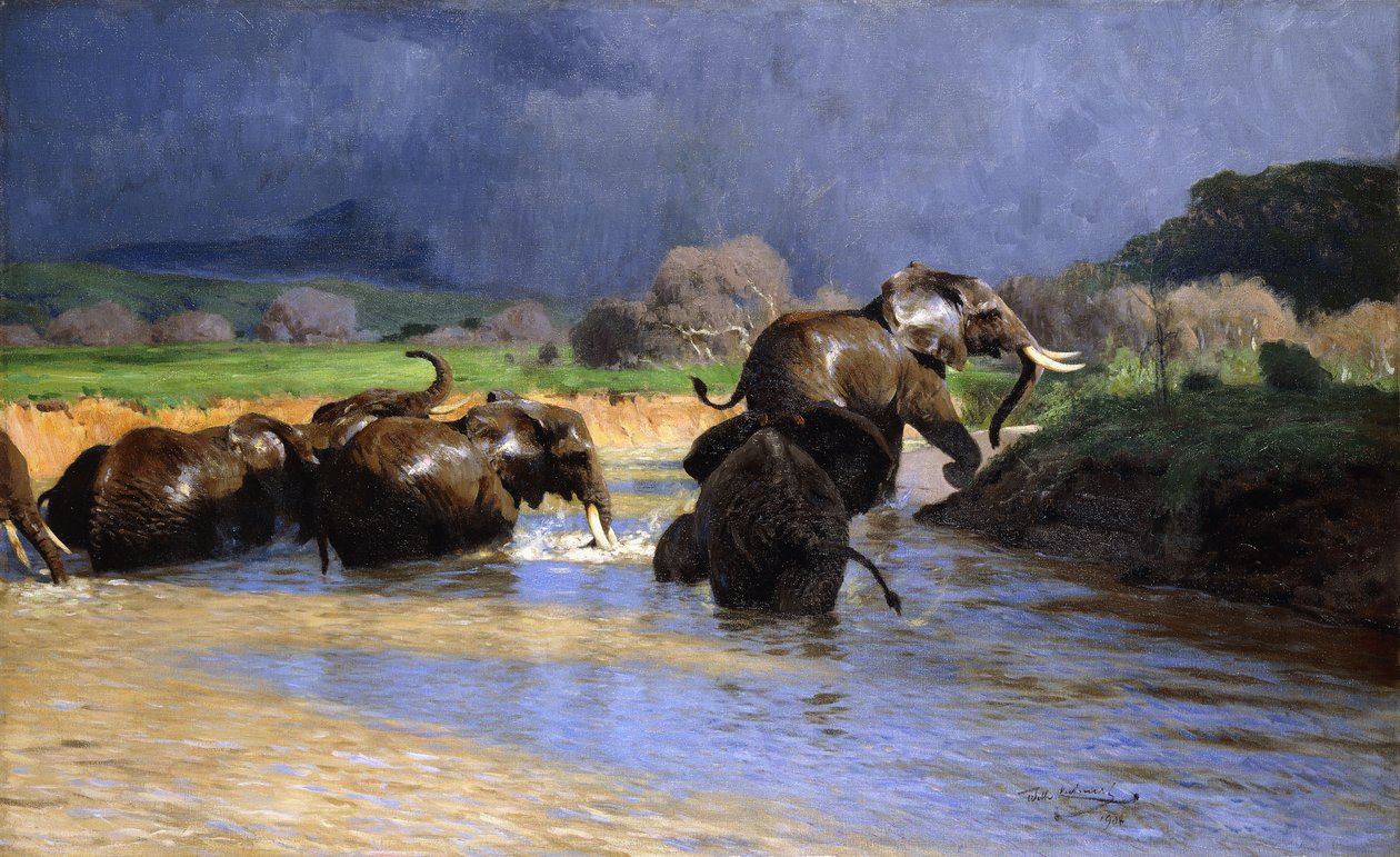 Elephants Bathing by Wilhelm Kuhnert