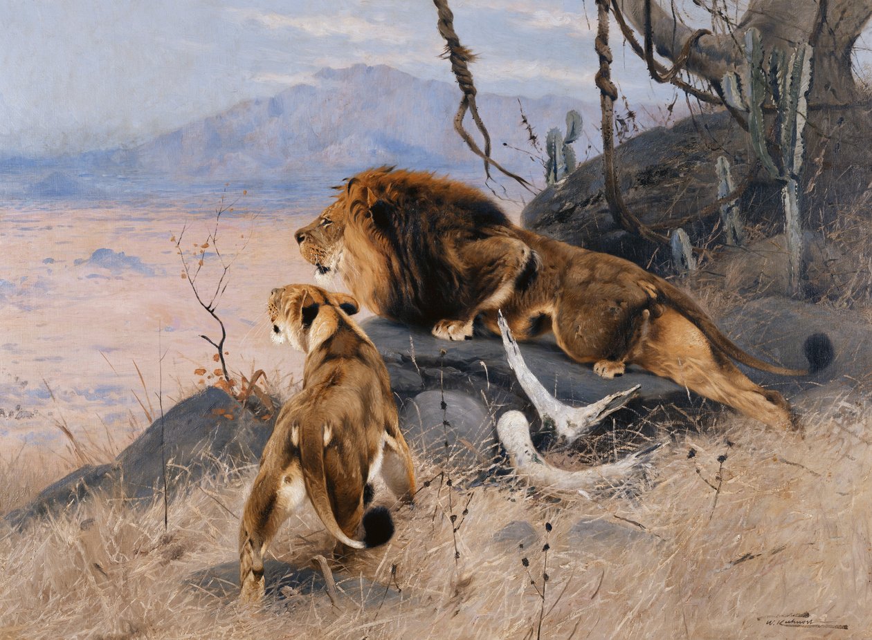 Lion and Lioness by Wilhelm Kuhnert