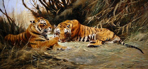 Siberian Tigers by Wilhelm Kuhnert