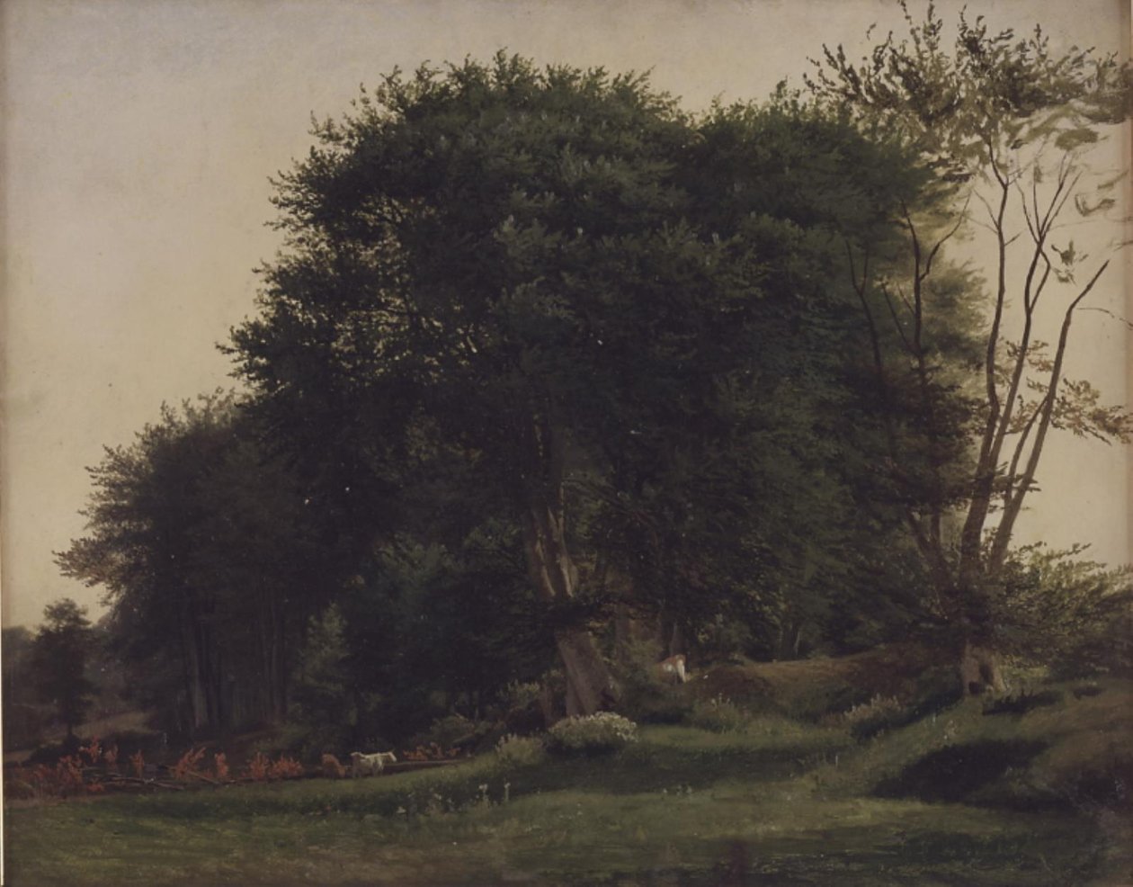 Forest Clearing with Cattle by Wilhelm Xylander