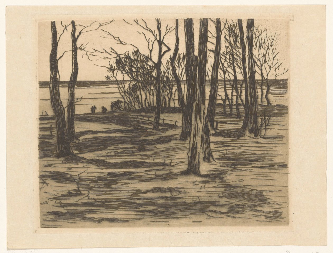 Trees by the Waterside in Valkeveen by Willem Arnoldus Witsen