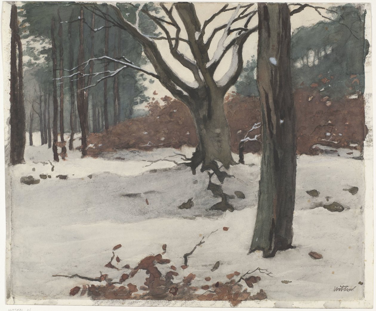 Trees in the Snow by Willem Arnoldus Witsen