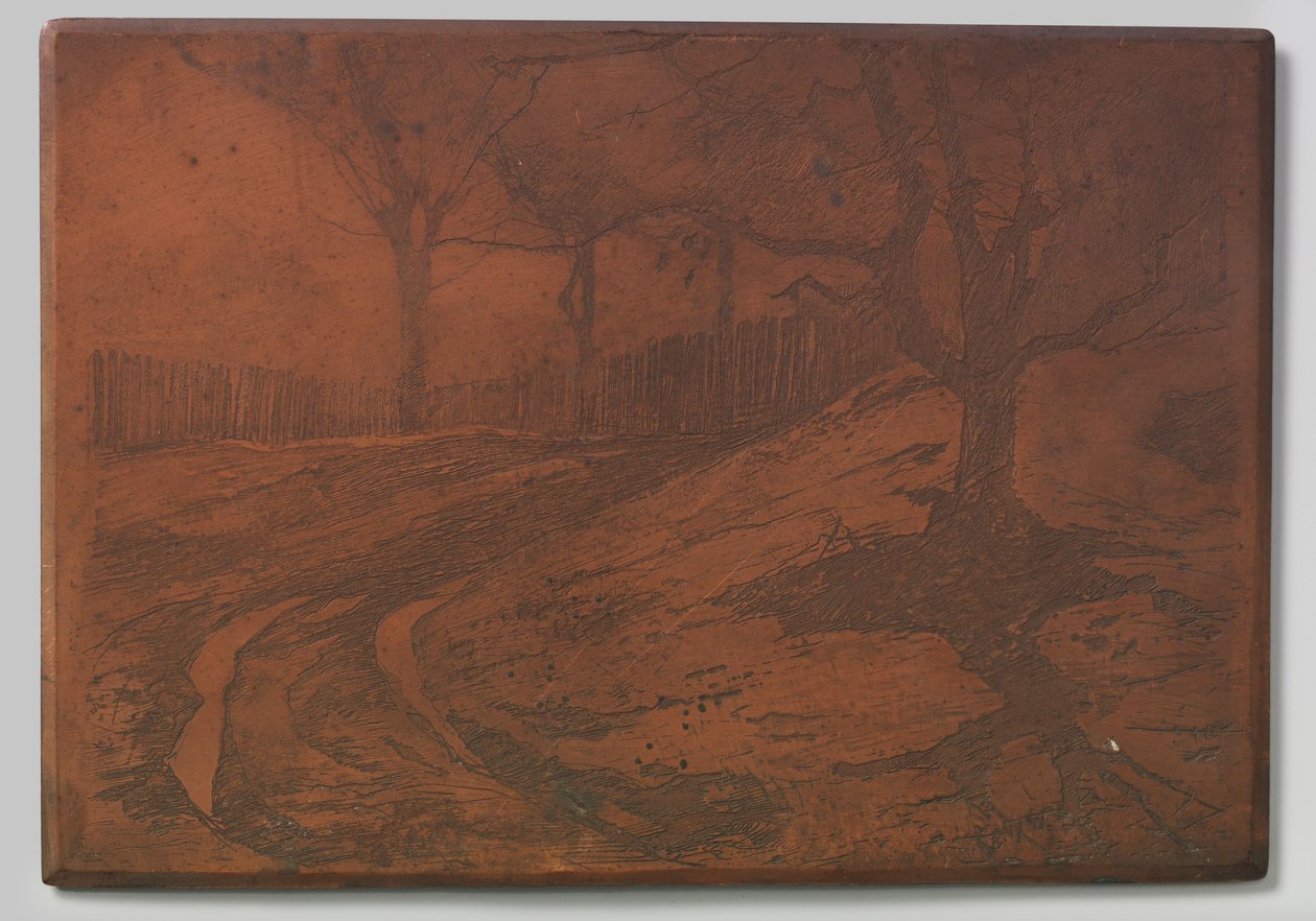 Dune path by Willem Arnoldus Witsen