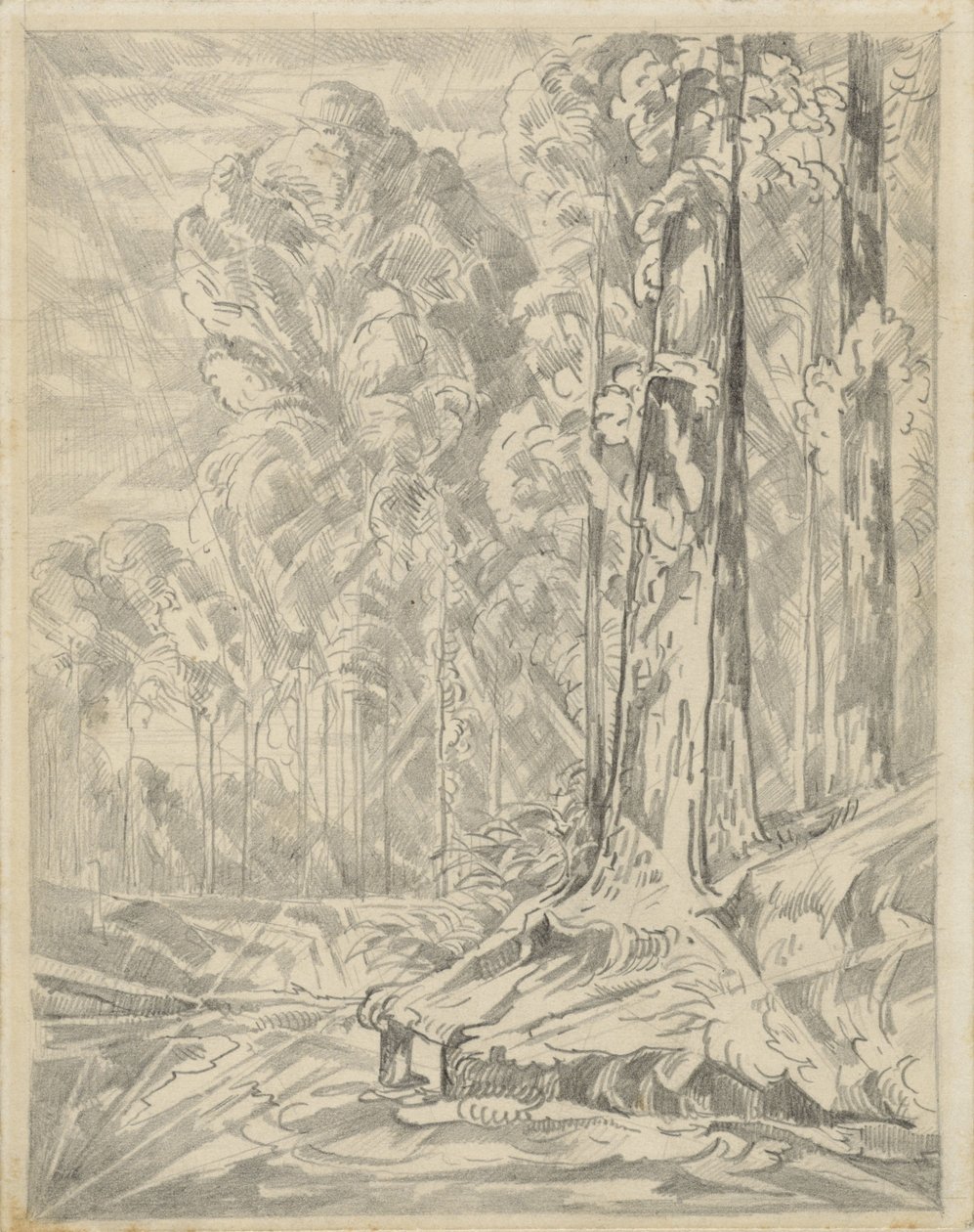 Clearing between Tall Trees by Willem van Konijnenburg