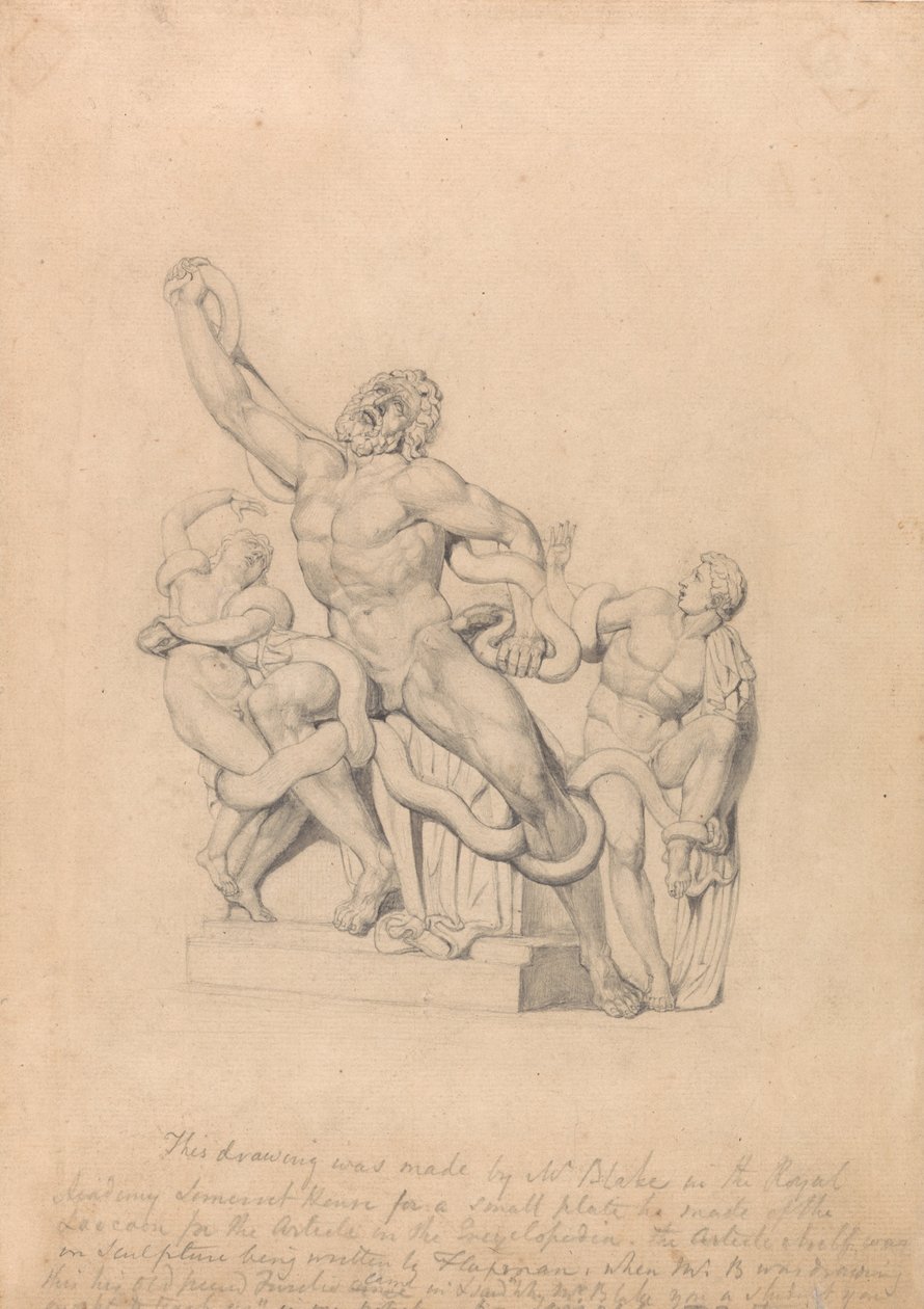Copy of the Laocoön, for Rees