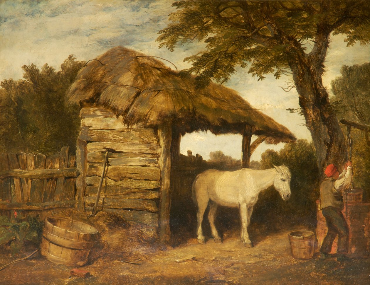 Rustic Shed by William Collins
