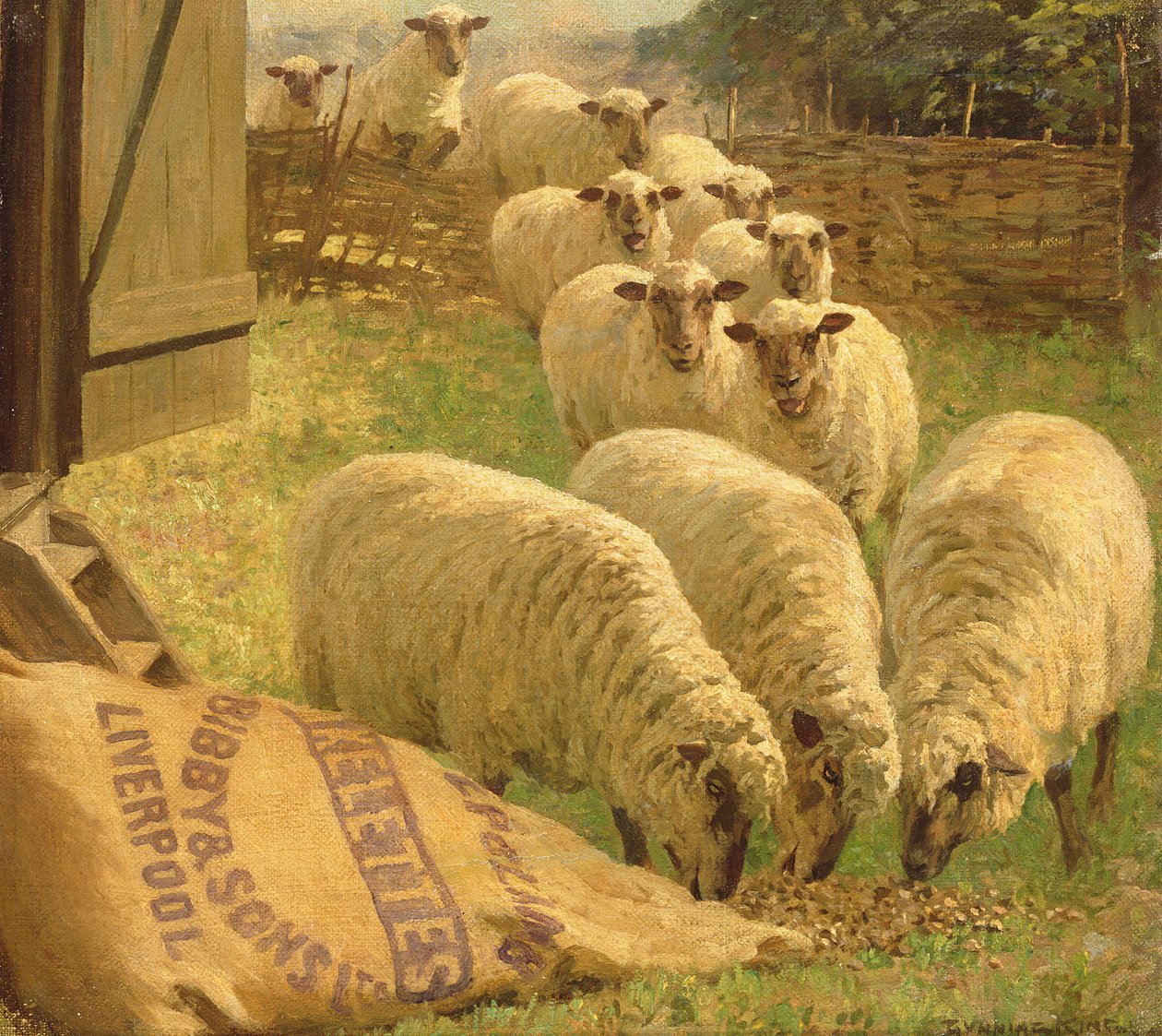 Sheep feeding from an upturned grain bag by William Gunning King