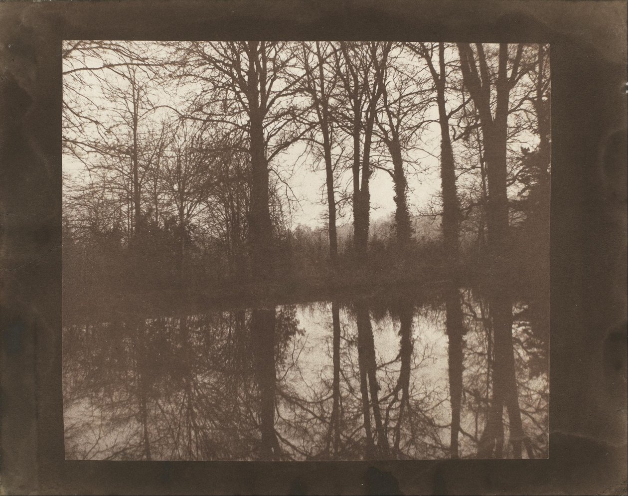 Trees and Reflections by William Henry Fox Talbot