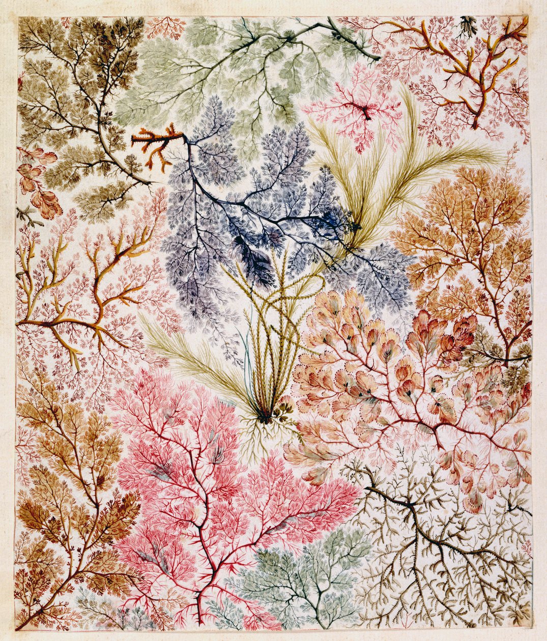 Textile Design, c.1788-92 by William Kilburn