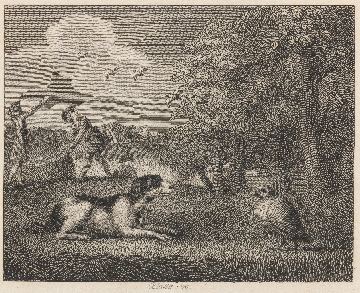 The Setting-dog and the Partridge by William Blake