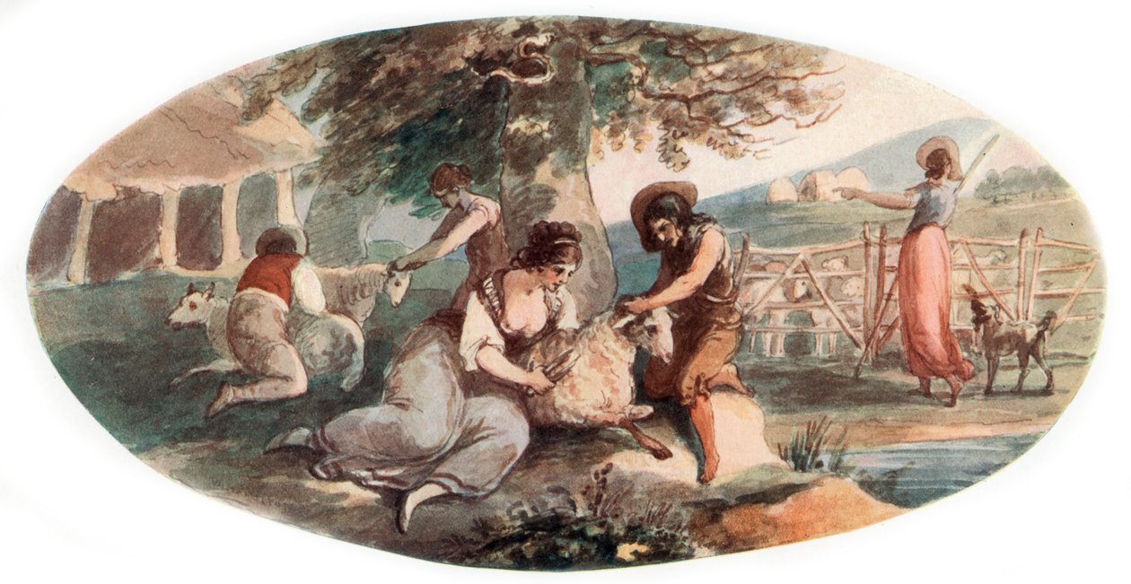 Sheep Shearing by William Hamilton