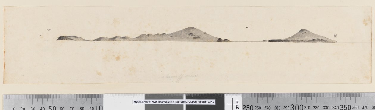 Profile of Unidentified Island by William Hodges