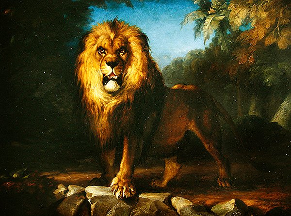 Lion by William Huggins