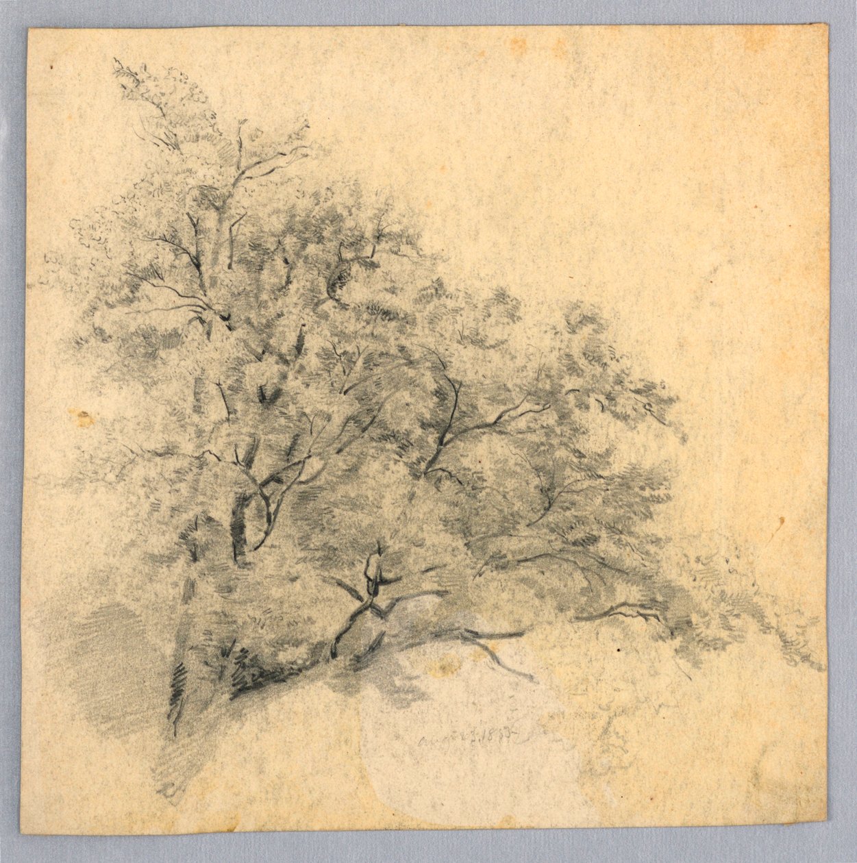 Study of Foliage by William Trost Richards