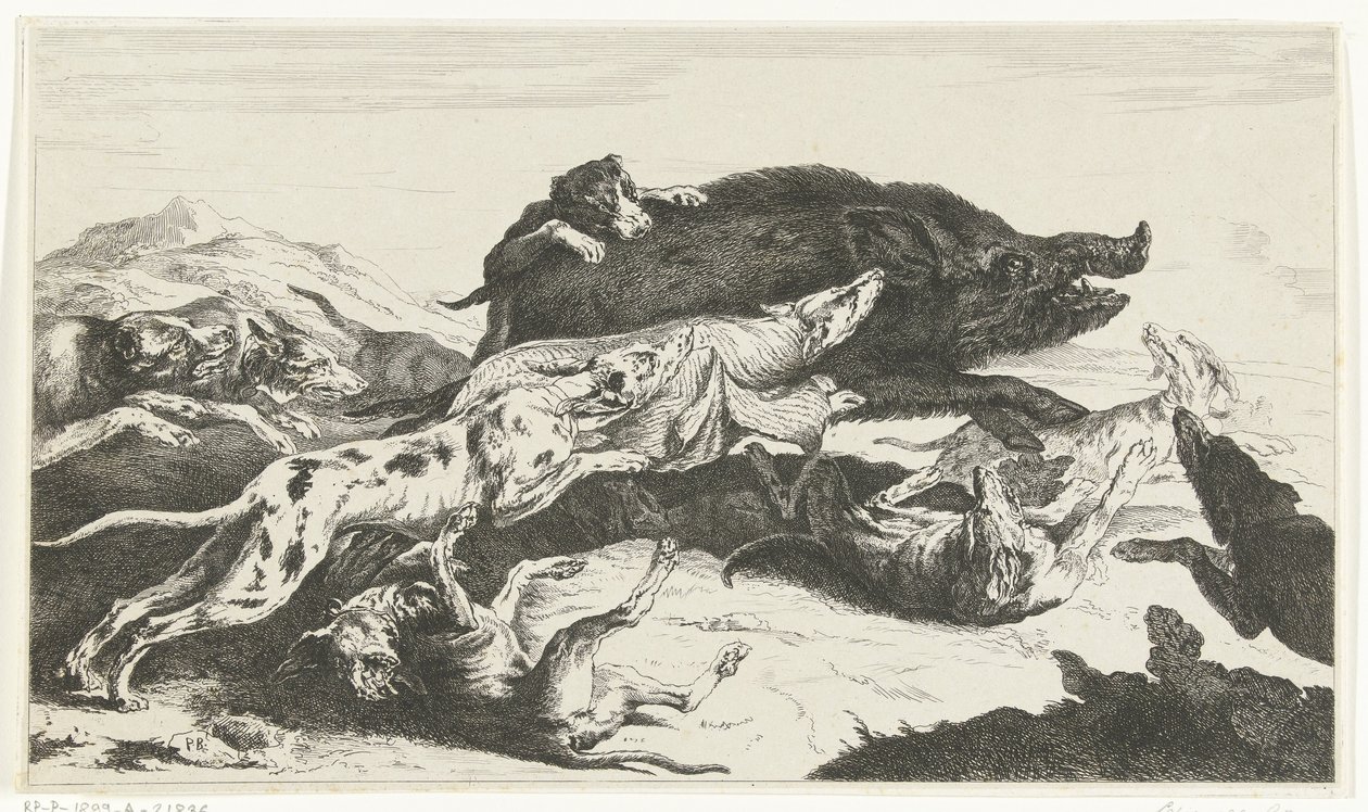 Dogs Hunting a Boar by William Young Ottley