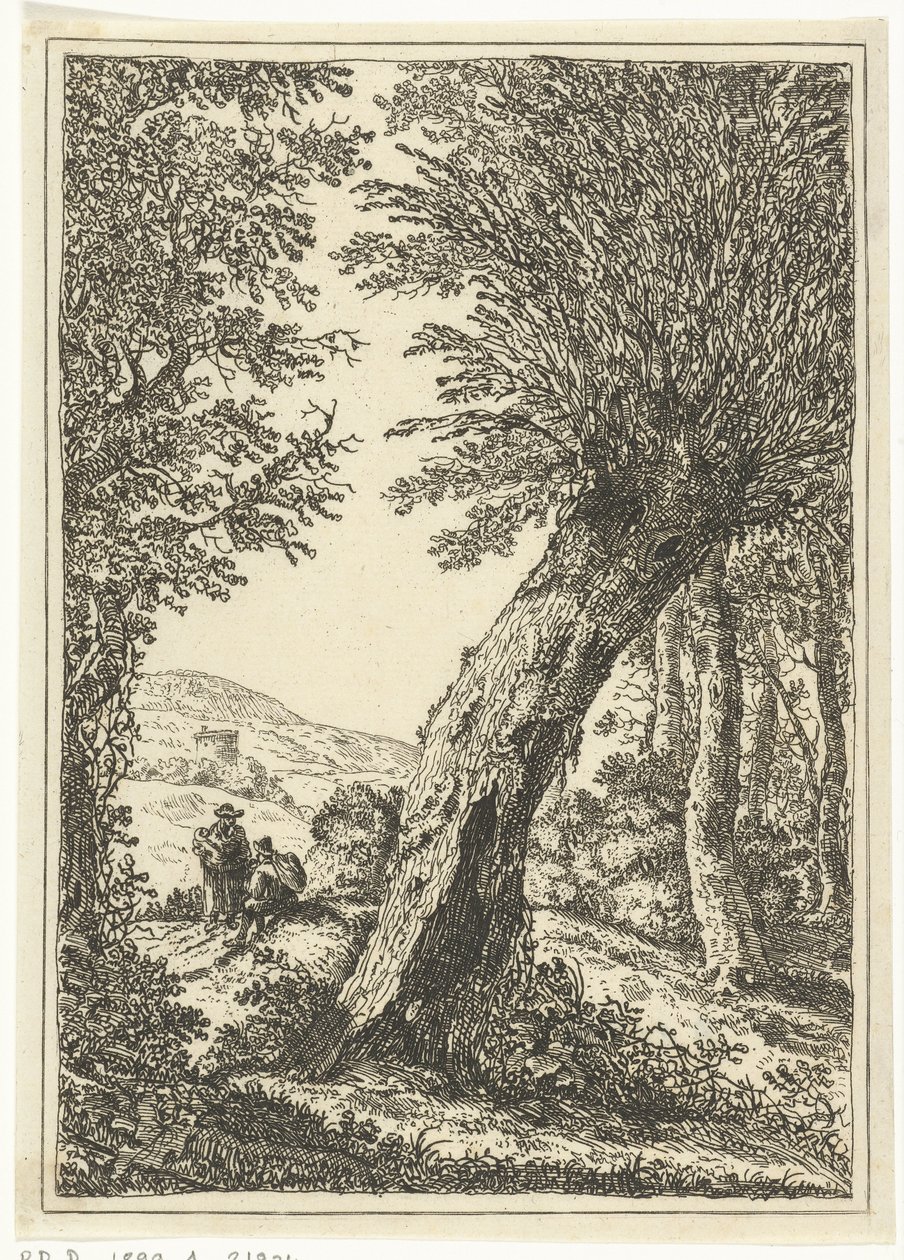 Willow Tree by William Young Ottley
