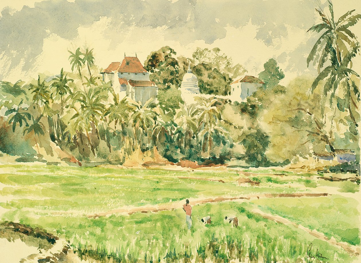 Lankatilaka from the paddy fields by Wilson Clive