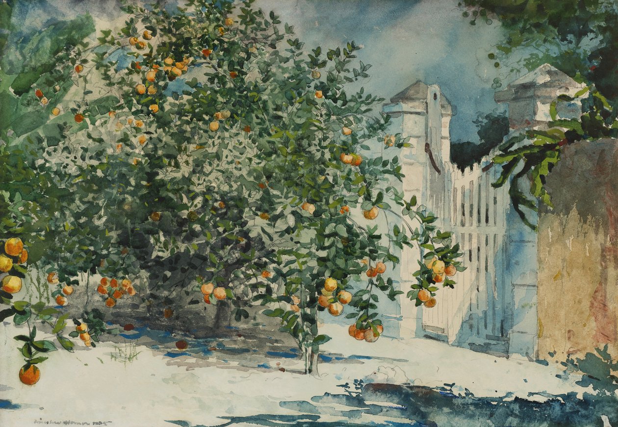 Orange Trees and Gate by Winslow Homer
