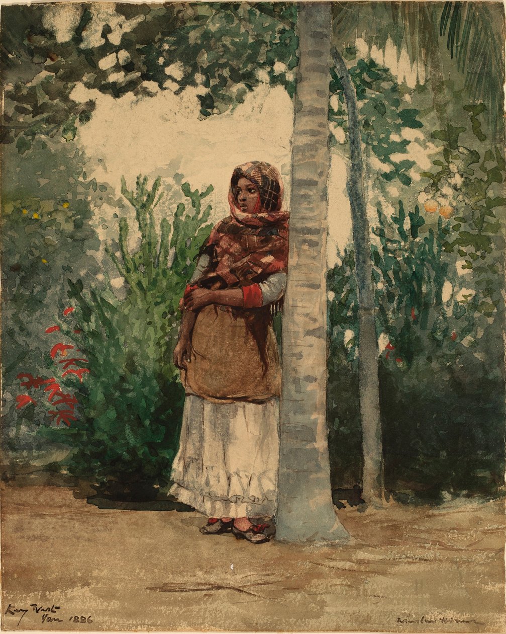 Under a Palm Tree by Winslow Homer