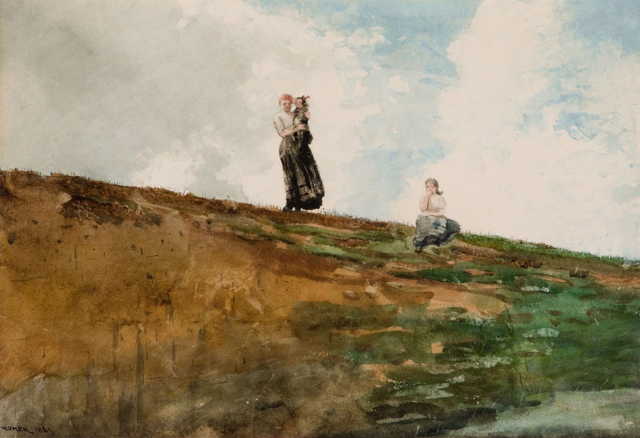 Watching from the Cliffs by Winslow Homer