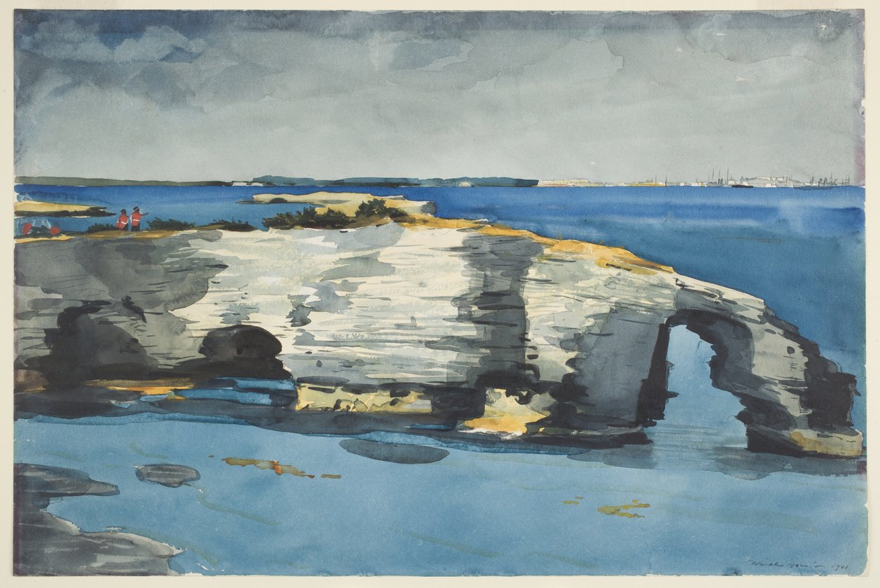 Coral Formation by Winslow Homer