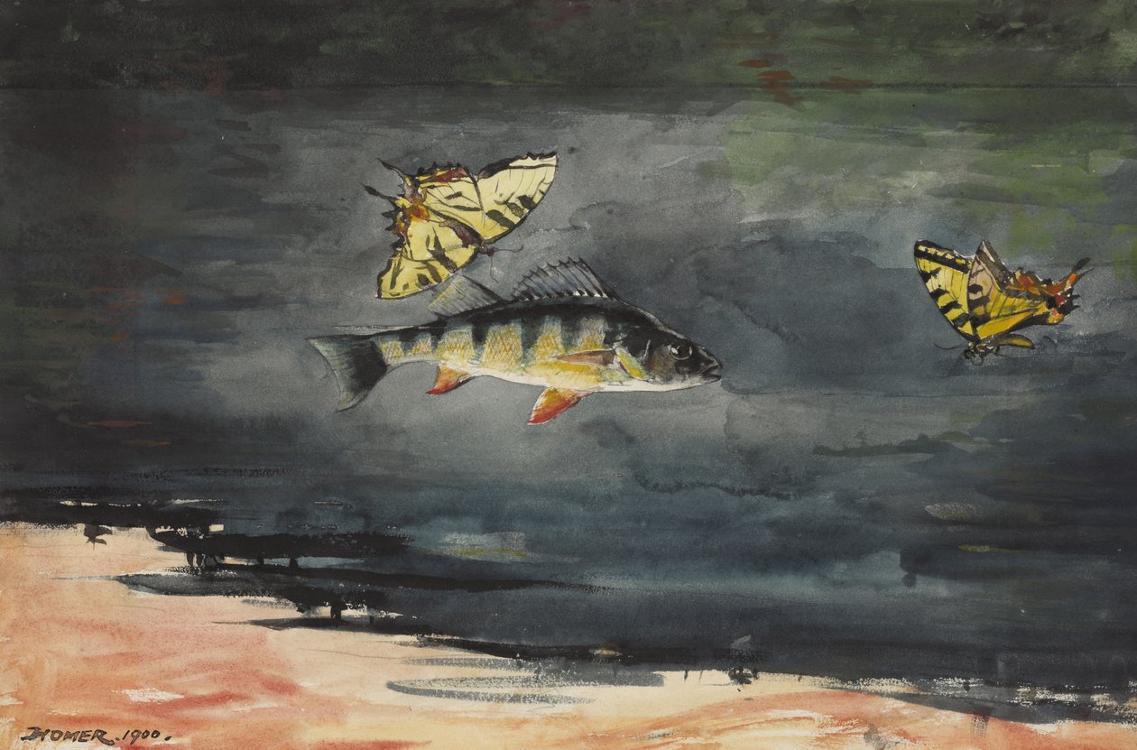 Fish and Butterflies by Winslow Homer