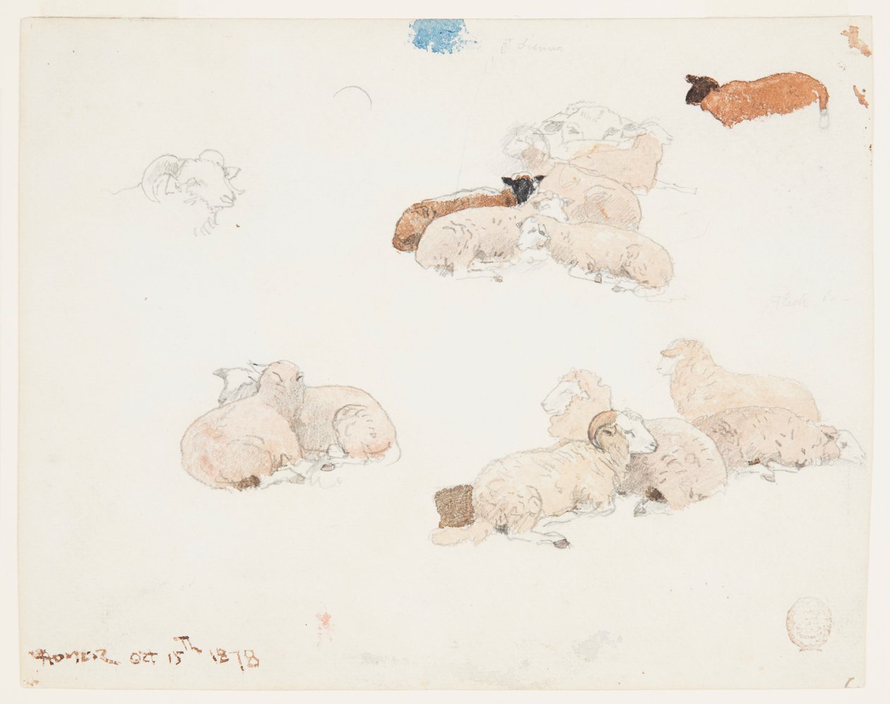 Sheep Resting by Winslow Homer