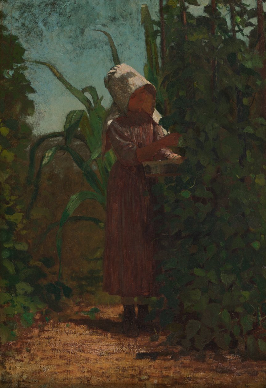 The Bean Picker by Winslow Homer