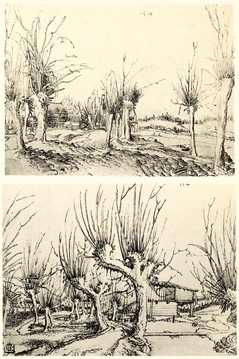 Landscapes with Willow Trees by Wolf Huber