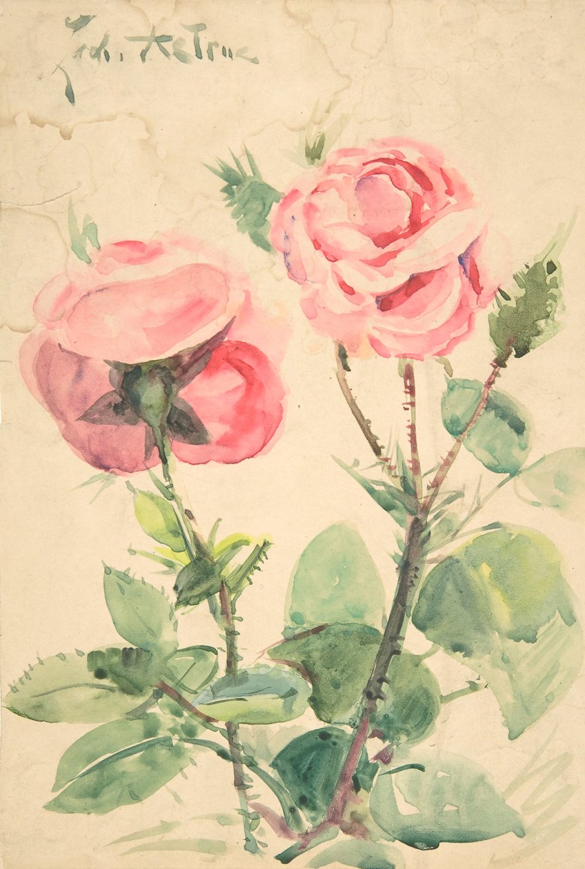 Two Roses by Zacharie Astruc