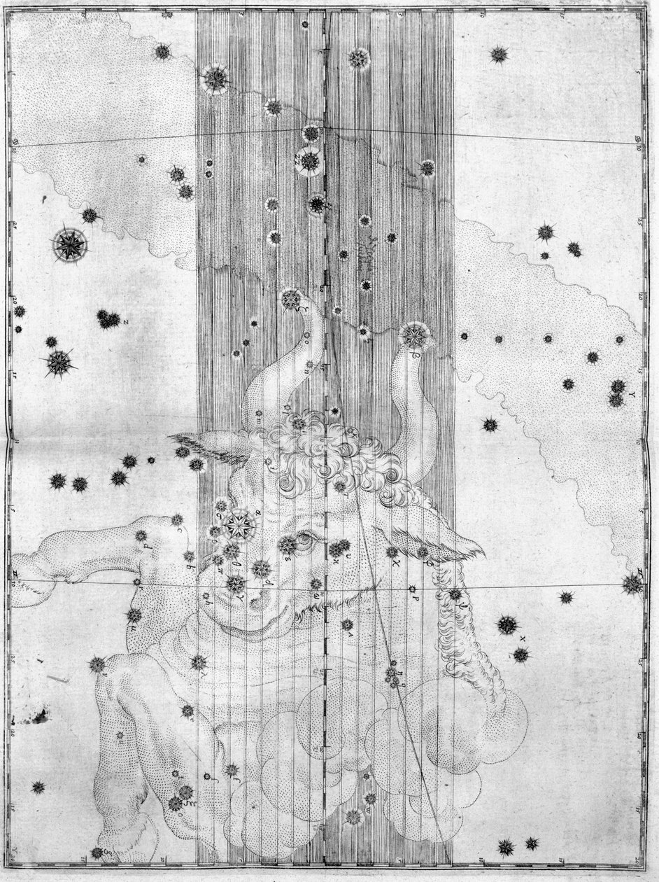 The constellation Taurus by Frederick (attr. to) Barnard