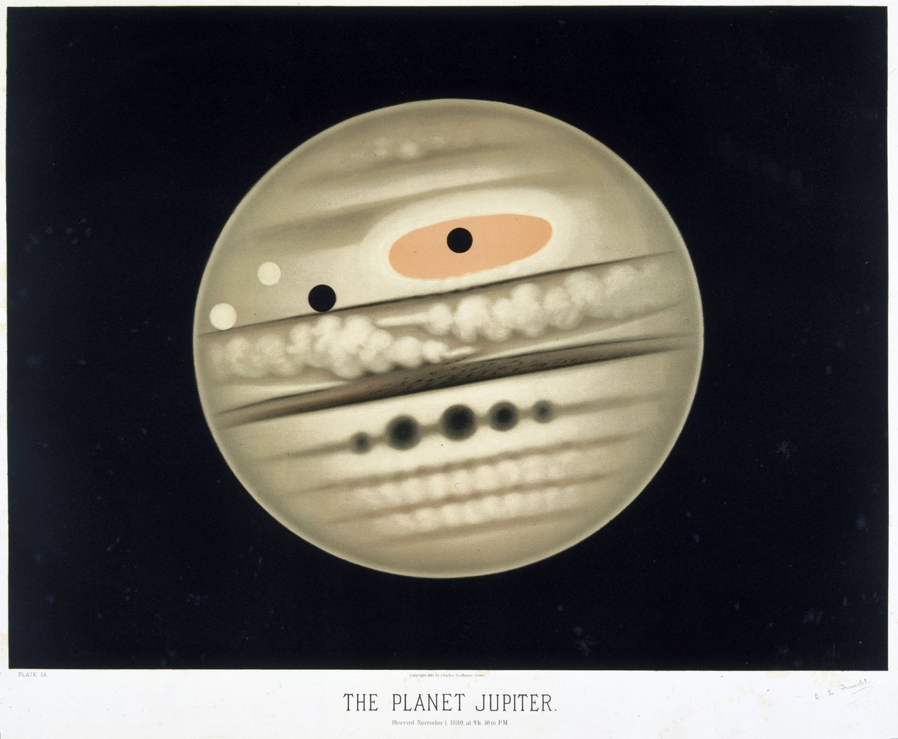 The Planet Jupiter by Frederick (attr. to) Barnard