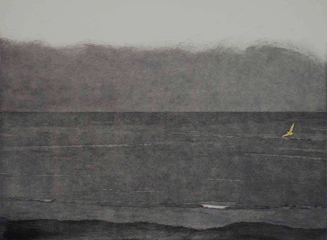 Silent Flight by angus hampel