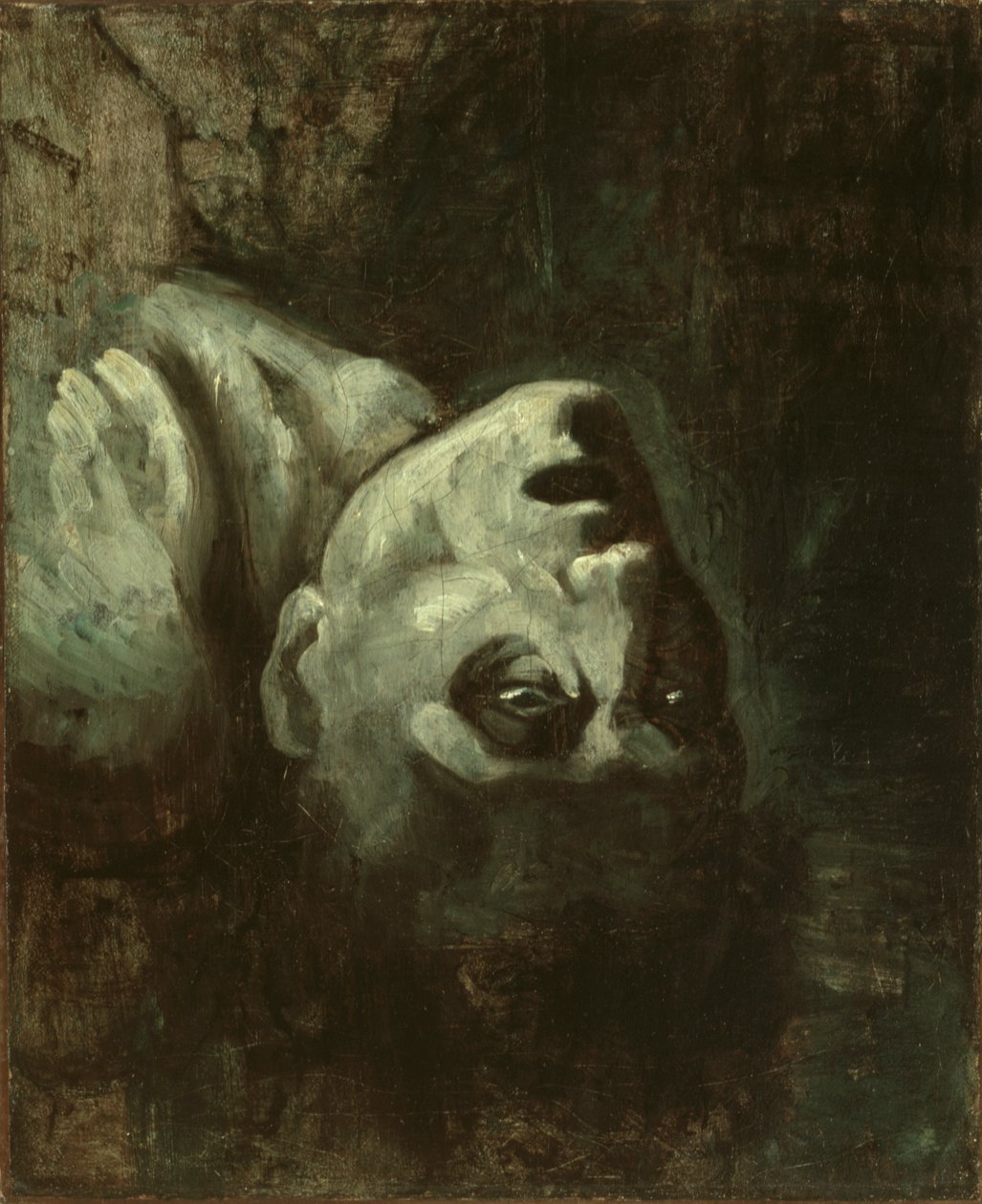 Head of a Drowned Man by anonymous 
