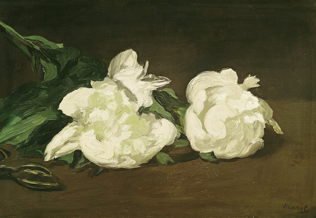 Branch of White Peonies and Secateurs by Édouard Manet