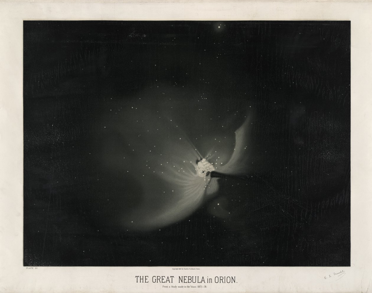 The Great Nebula in Orion. From a Study Made in the Years 1875-76. (Plate XV from The Trouvelot Astronomical Drawings 1881-1882) by Étienne Léopold Trouvelot