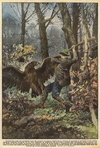 Dramatic Struggle with a Golden Eagle