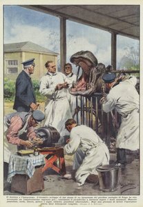 The Dentist and the Hippopotamus