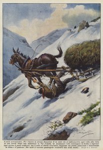 The Neurasthenic Mule